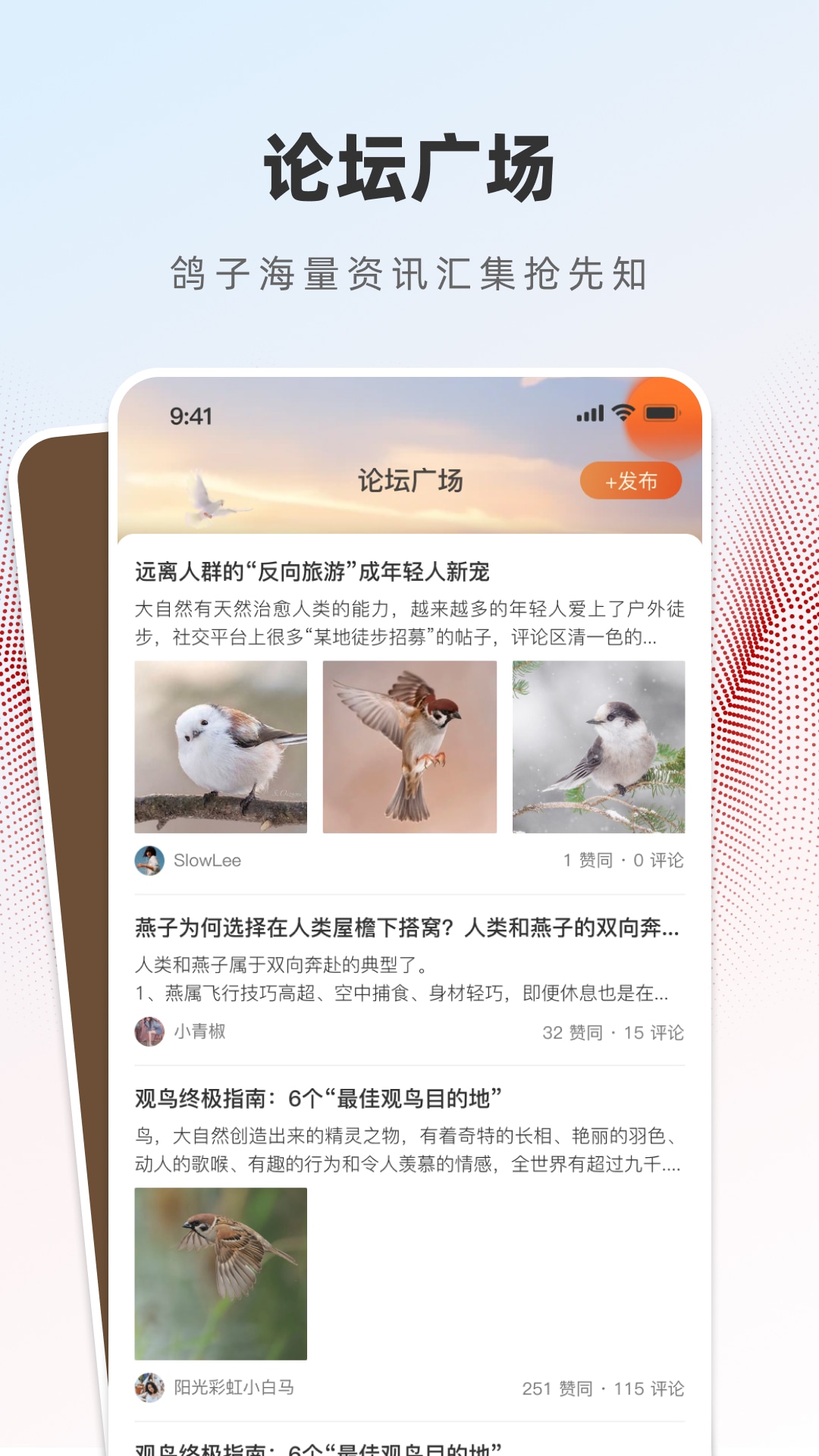 赏鸽缘app