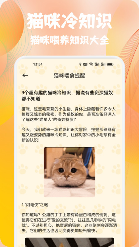 摘星猫喵语软件图3