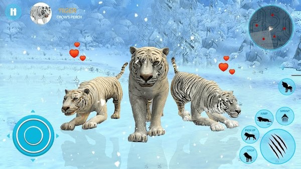 野生白虎家庭模拟(Wild Tiger Simulator Family Sim)图1