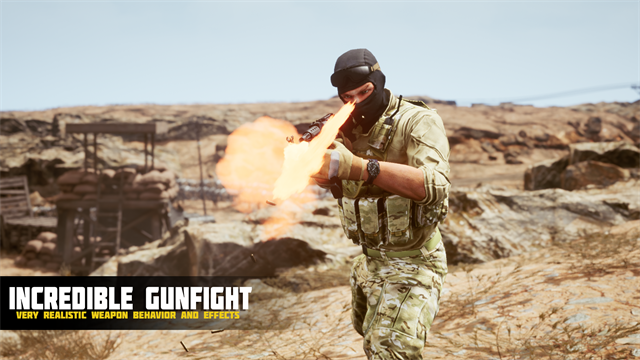 Desert Storm Operation