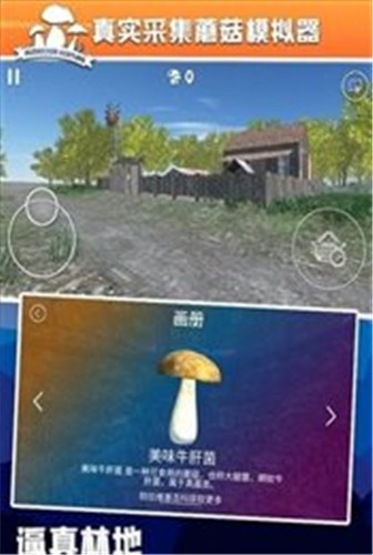 真实采集蘑菇模拟器