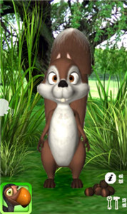 Talking James Squirrel图3