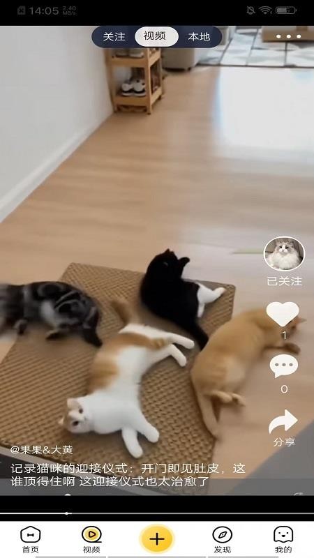 养宠汇app
