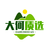 大何质选app图标