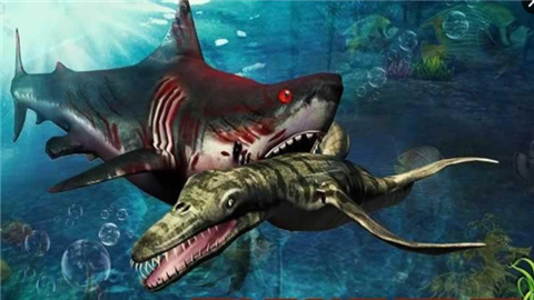 Shark.io
