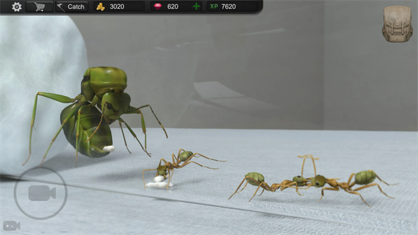 蚂蚁模拟大亨(Ant Sim Tycoon安装器)图1