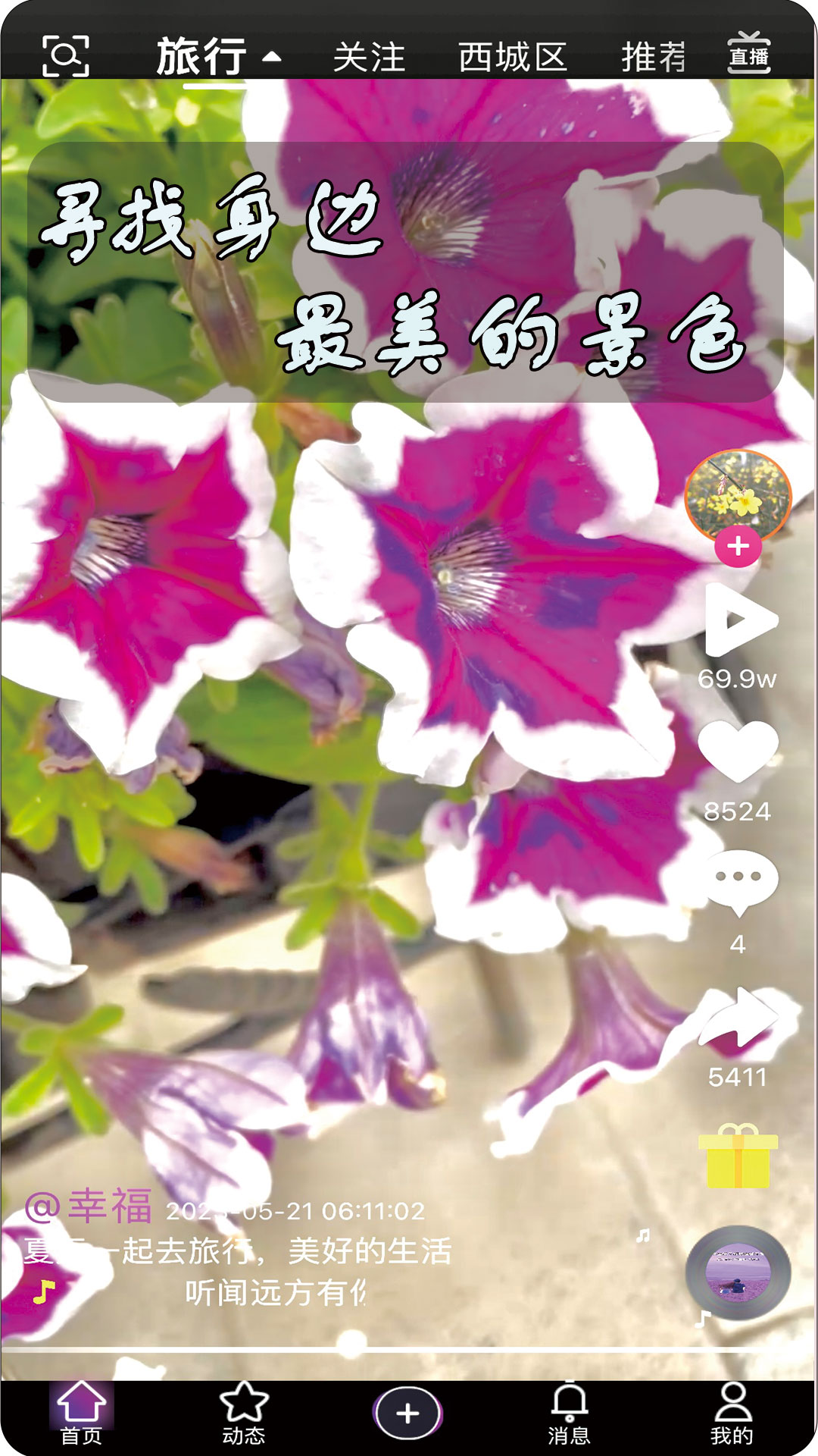 春语app图3