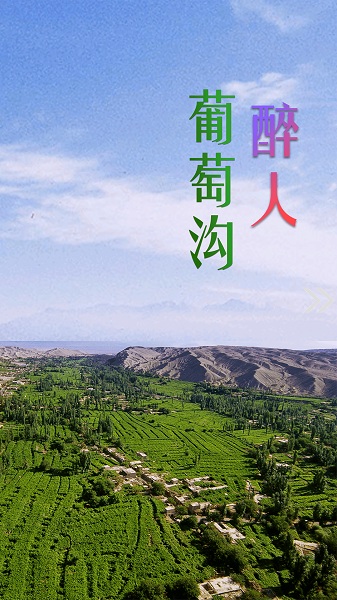 高昌好地方app