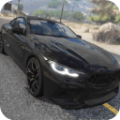 汽车专业模拟器（Car Pro Simulator Racing）游戏图标