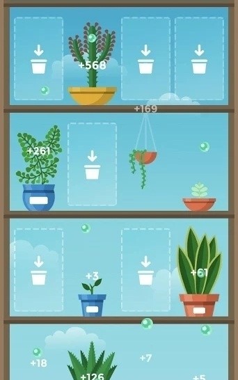 放置花园（Terrarium）图1