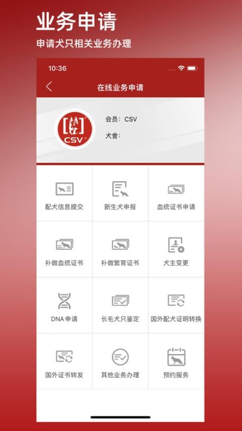 CSV软件