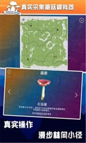 真实采集蘑菇模拟器图1