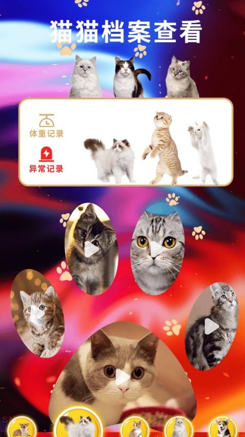 遇见我的猫翻app图3