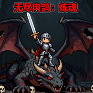 无尽肉鸽：炼魂游戏图标