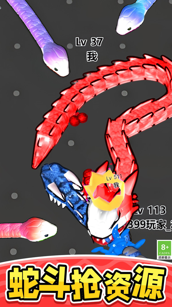 长蛇盘绕游戏图3