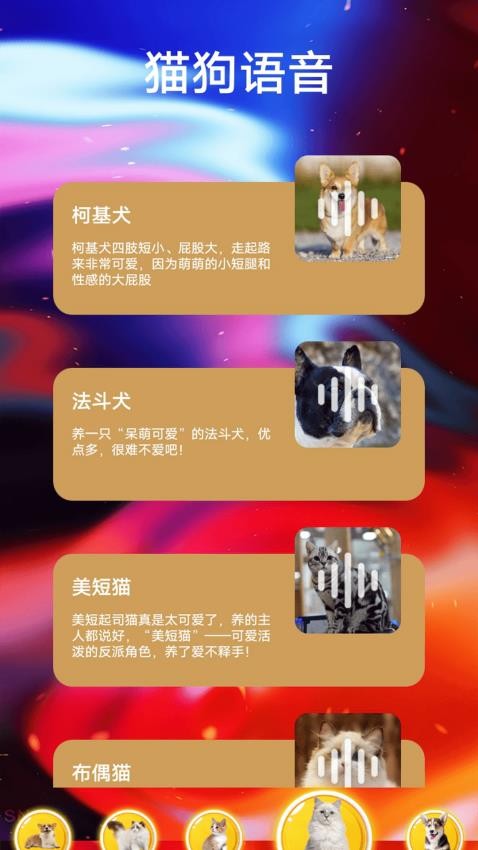 遇见我的猫翻app图2