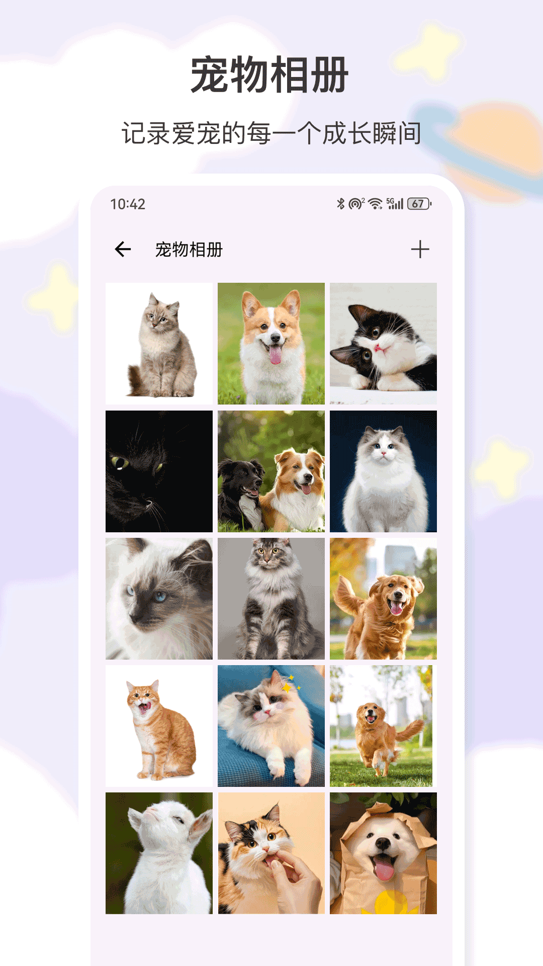 猫叫app图2