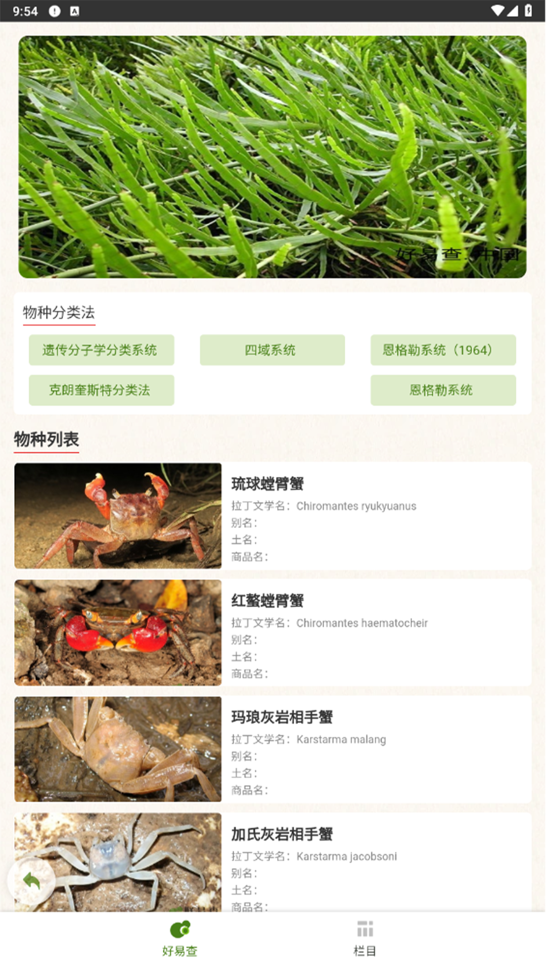 好易查app