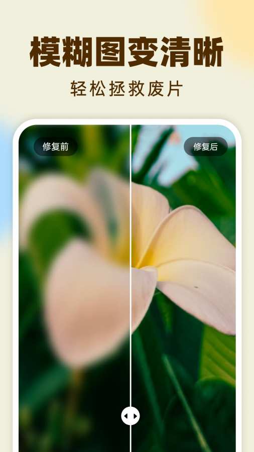 柠檬照片管家app