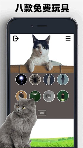 猫狗玩具模拟器图1