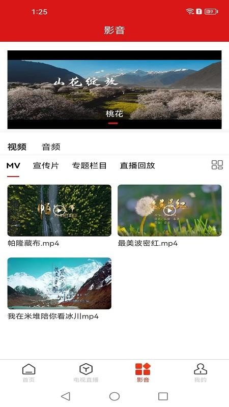 智慧波密app