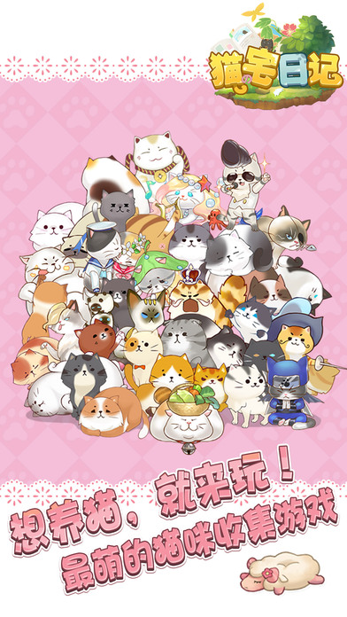 猫宅日记图2