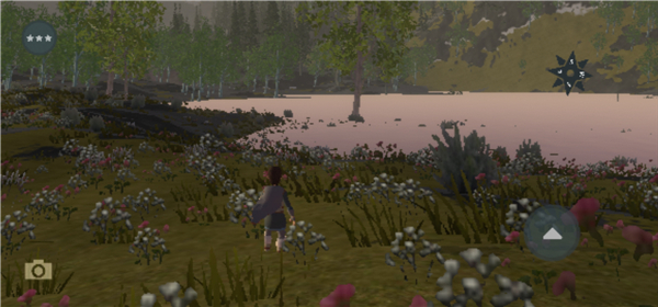 Wilderless Classic