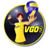VolleyGo手机版图标