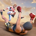 Fighting Game安卓版图标