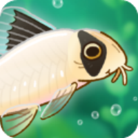 Pondlife安装器游戏图标