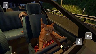 真实小猫3d模拟游戏