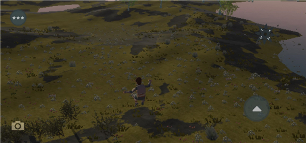 Wilderless Classic