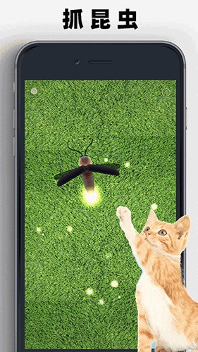 猫狗玩具模拟器图2