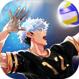 The Spike Volleyball battle最新版图标