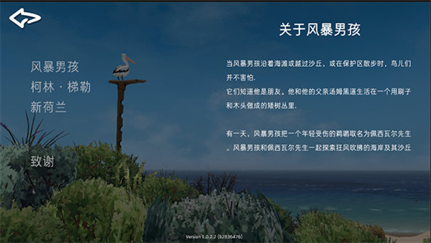 Storm Boy游戏