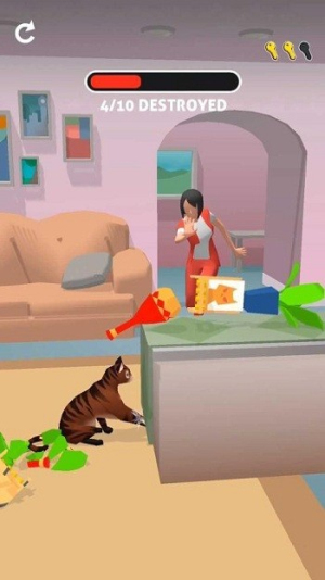 猫咪加比（JabbyCat）图1