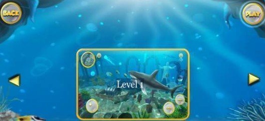 Life of Great White Shark游戏图3