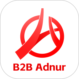 B2B Adnur软件图标
