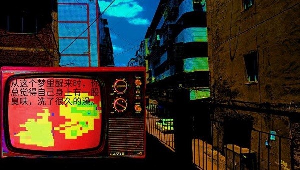 变成鸟的那一天游戏图3
