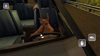 真实小猫3d模拟游戏图1