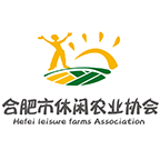 休闲合肥app图标