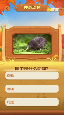 一听就会app图2
