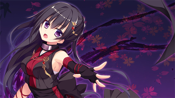 Ninja Girl图1