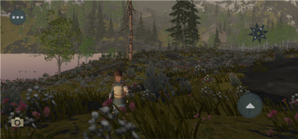 Wilderless Classic