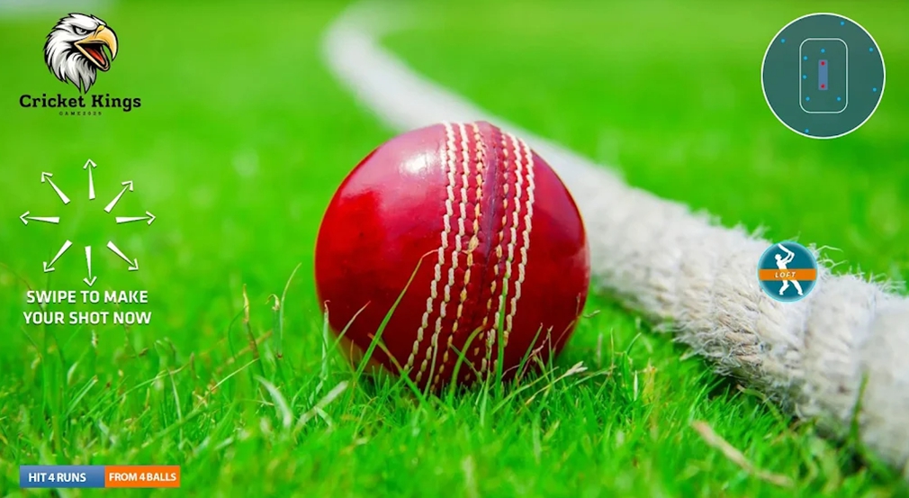 板球之王2024（Cricket Champions 2024）游戏图2
