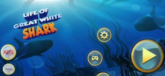Life of Great White Shark游戏图4