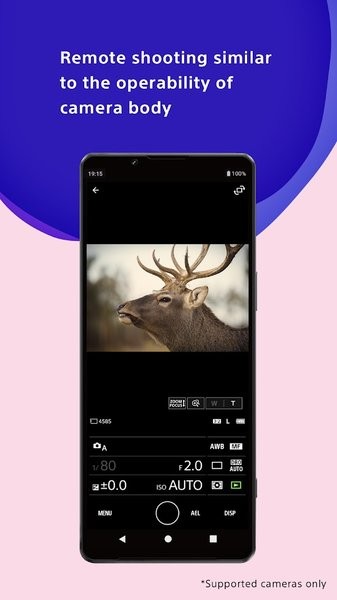 Creators' App图1
