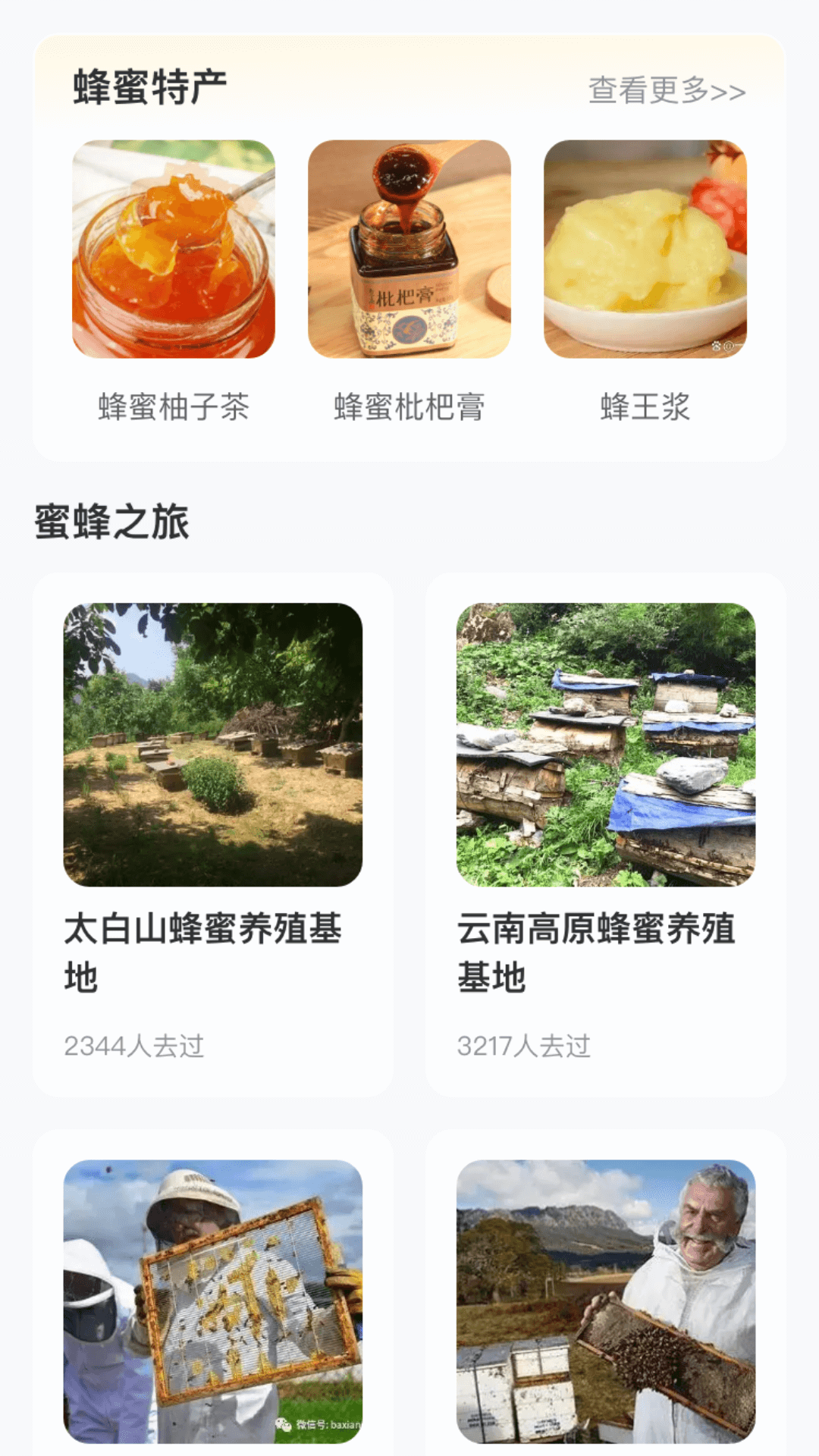 蜜蜂旅游app图1