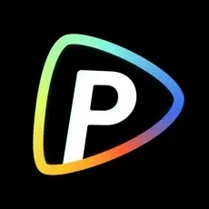 Pollo图标