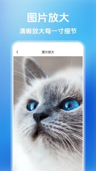 大字看屏器app图2